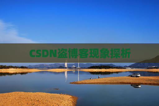 CSDN盗博客现象探析